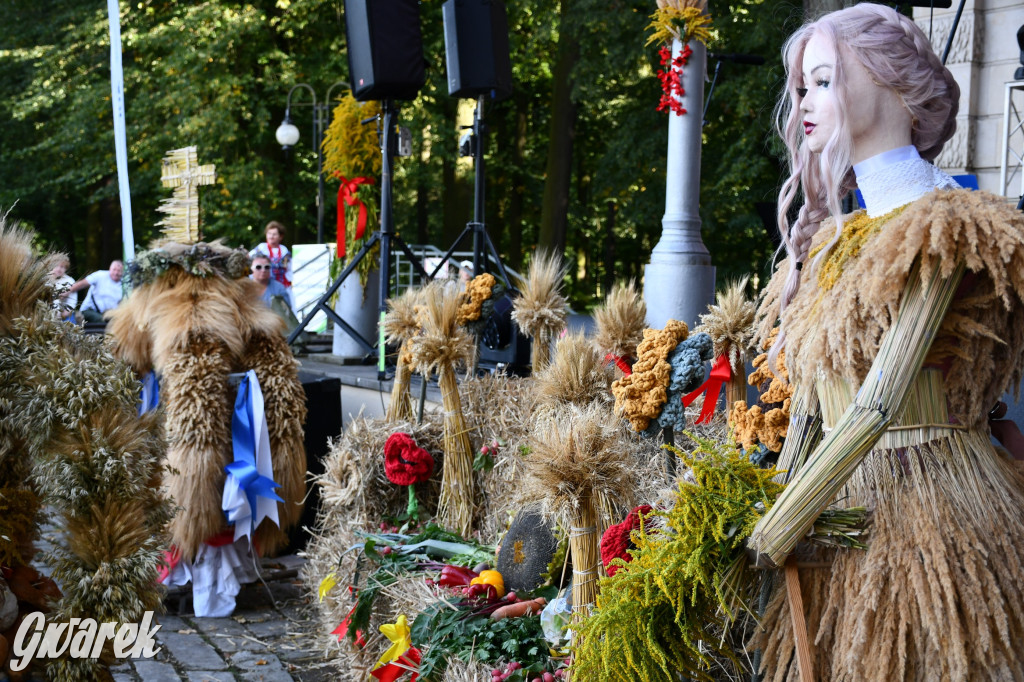 Świerklaniec. Dożynki w parku, pyszności przed pałacem