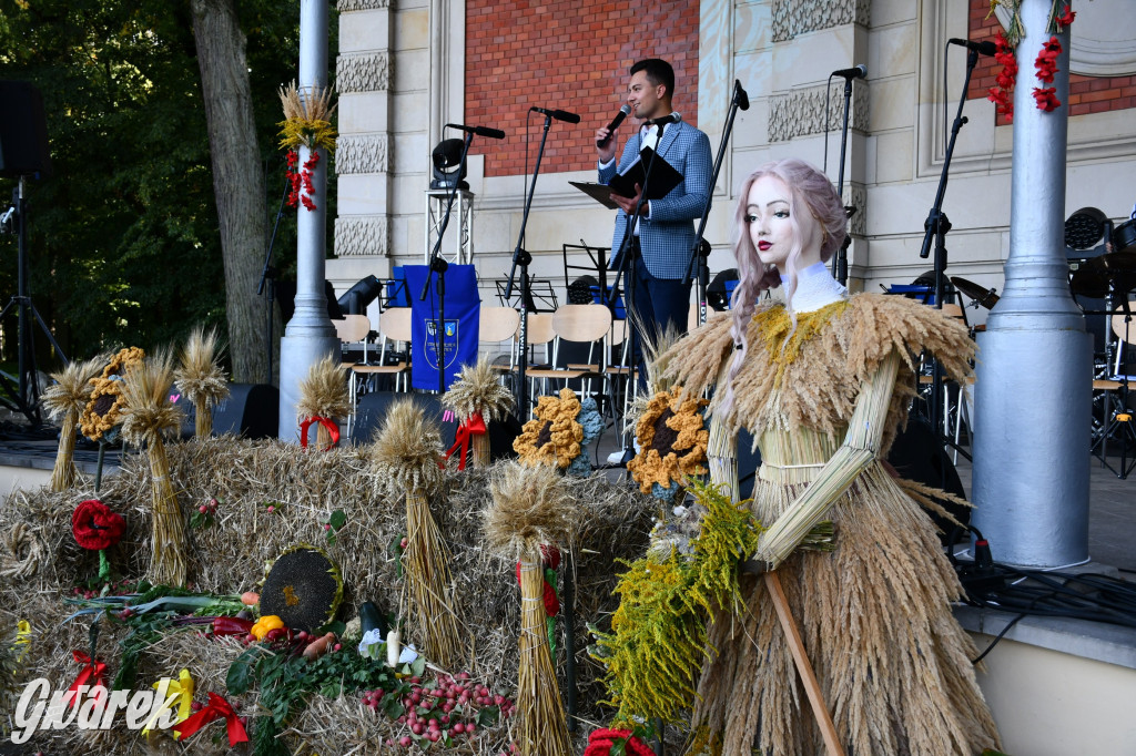 Świerklaniec. Dożynki w parku, pyszności przed pałacem