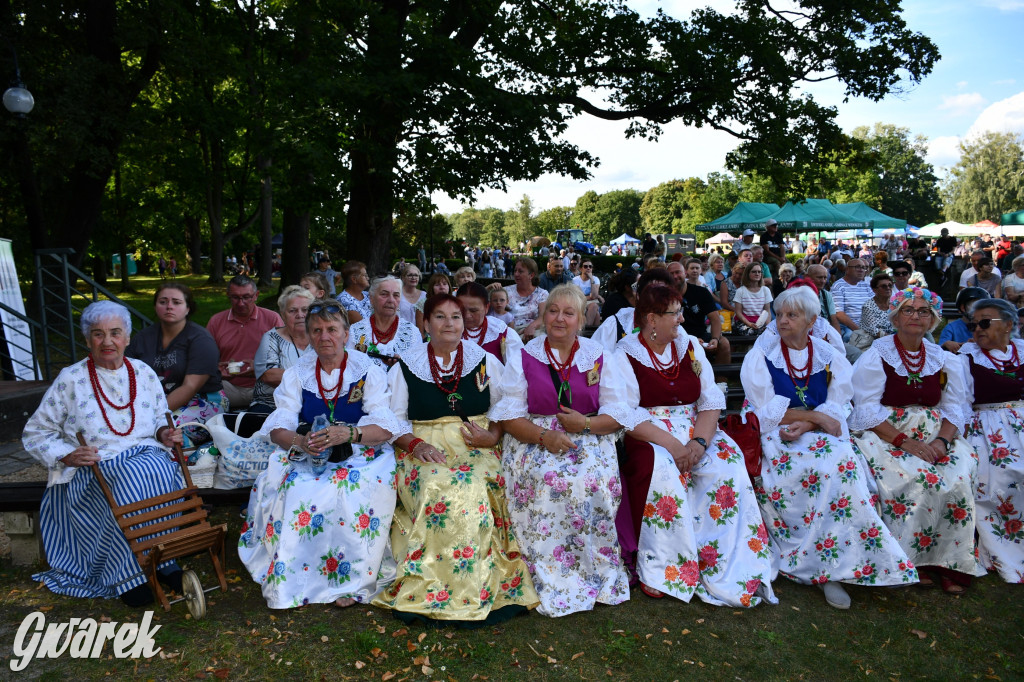 Świerklaniec. Dożynki w parku, pyszności przed pałacem