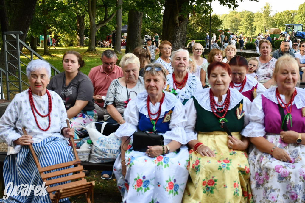 Świerklaniec. Dożynki w parku, pyszności przed pałacem