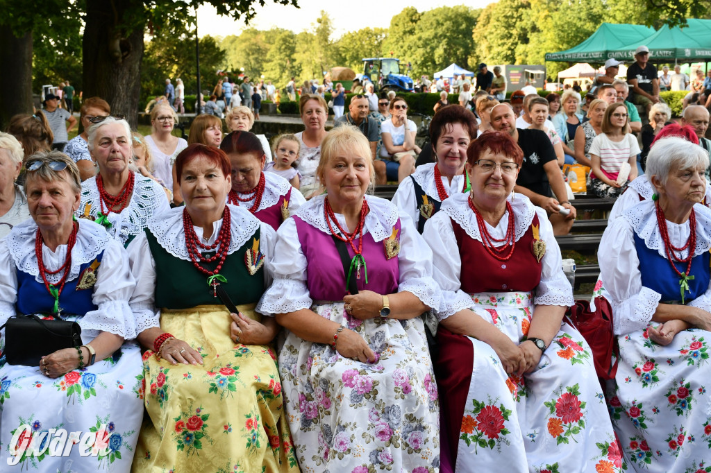 Świerklaniec. Dożynki w parku, pyszności przed pałacem