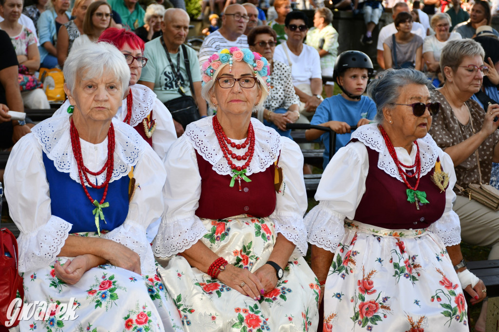 Świerklaniec. Dożynki w parku, pyszności przed pałacem