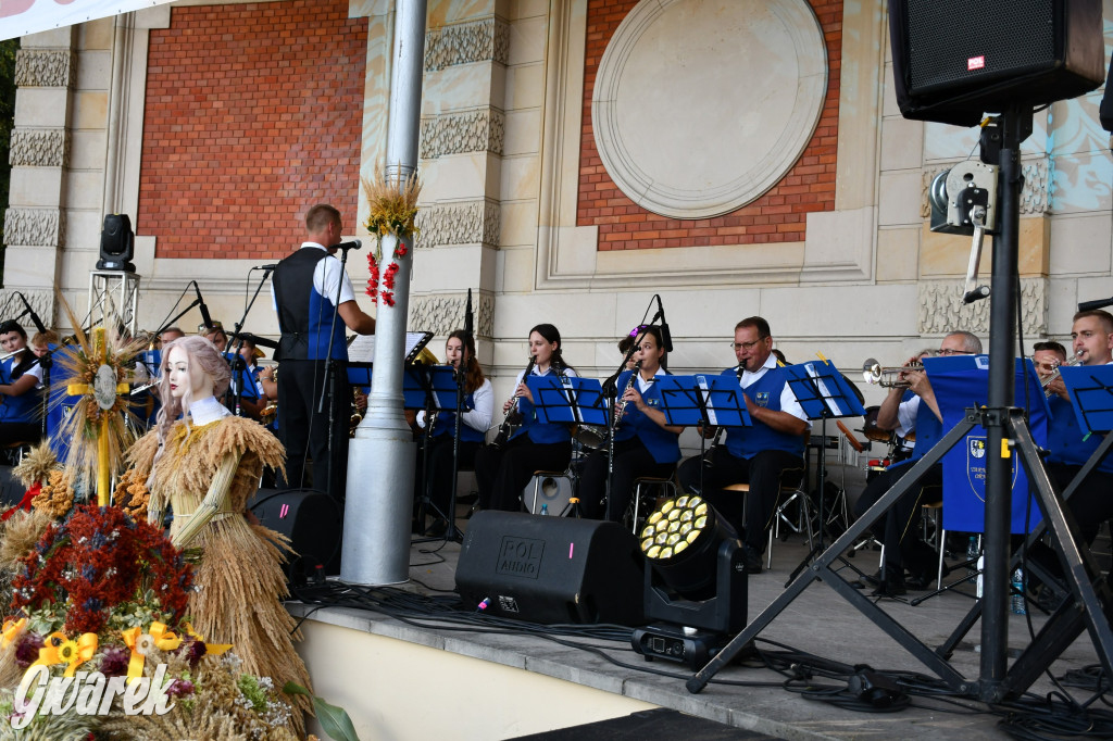 Świerklaniec. Dożynki w parku, pyszności przed pałacem