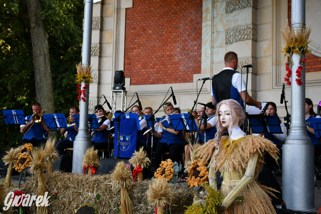 Świerklaniec. Dożynki w parku, pyszności przed pałacem
