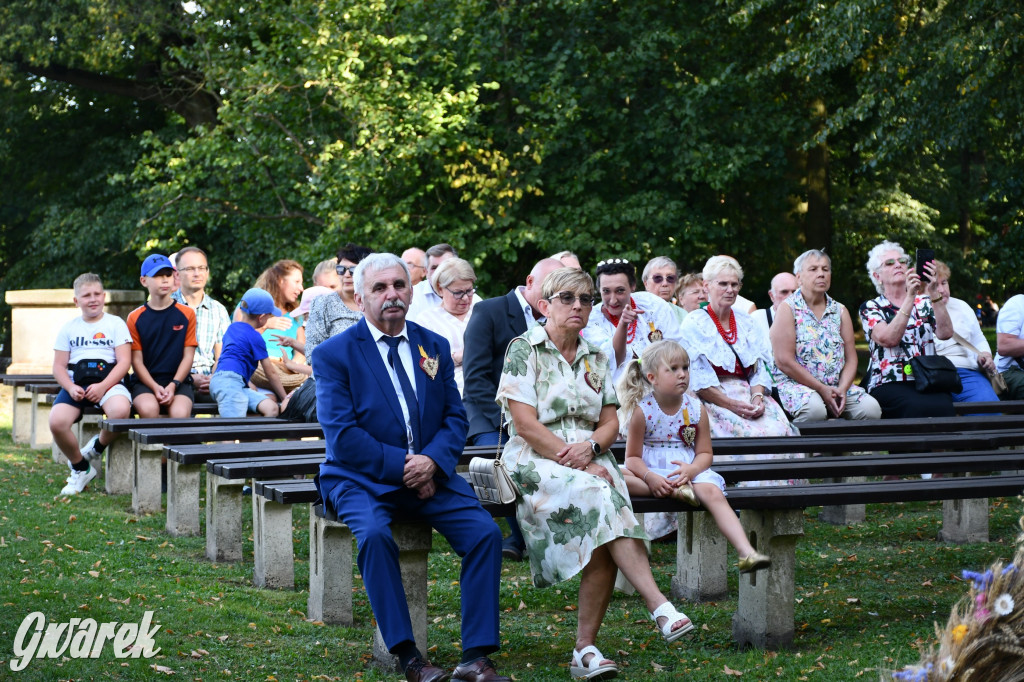 Świerklaniec. Dożynki w parku, pyszności przed pałacem