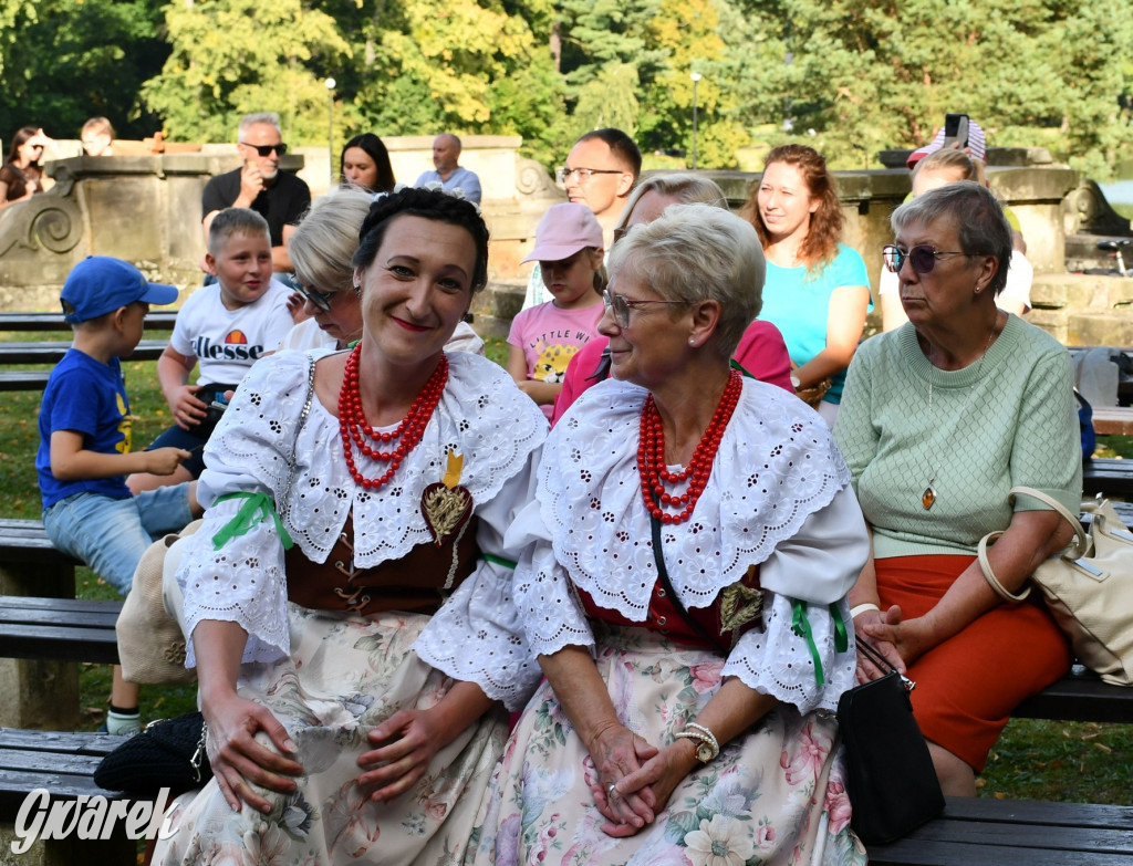 Świerklaniec. Dożynki w parku, pyszności przed pałacem