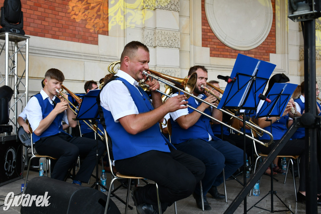Świerklaniec. Dożynki w parku, pyszności przed pałacem