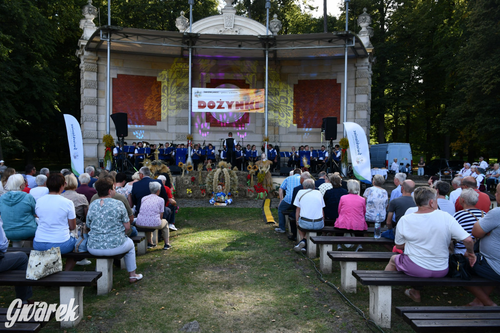 Świerklaniec. Dożynki w parku, pyszności przed pałacem