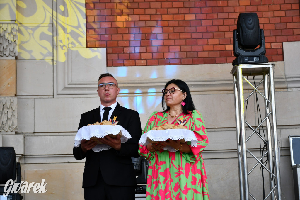 Świerklaniec. Dożynki w parku, pyszności przed pałacem