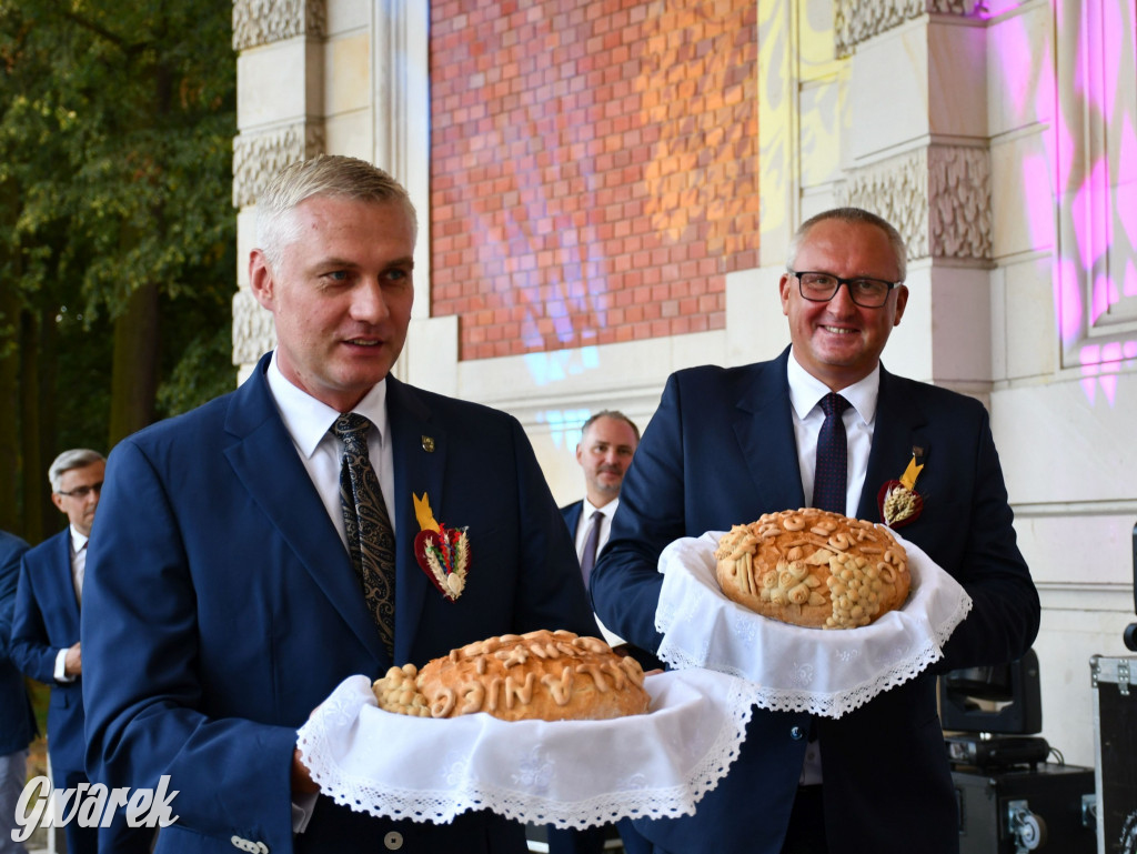Świerklaniec. Dożynki w parku, pyszności przed pałacem