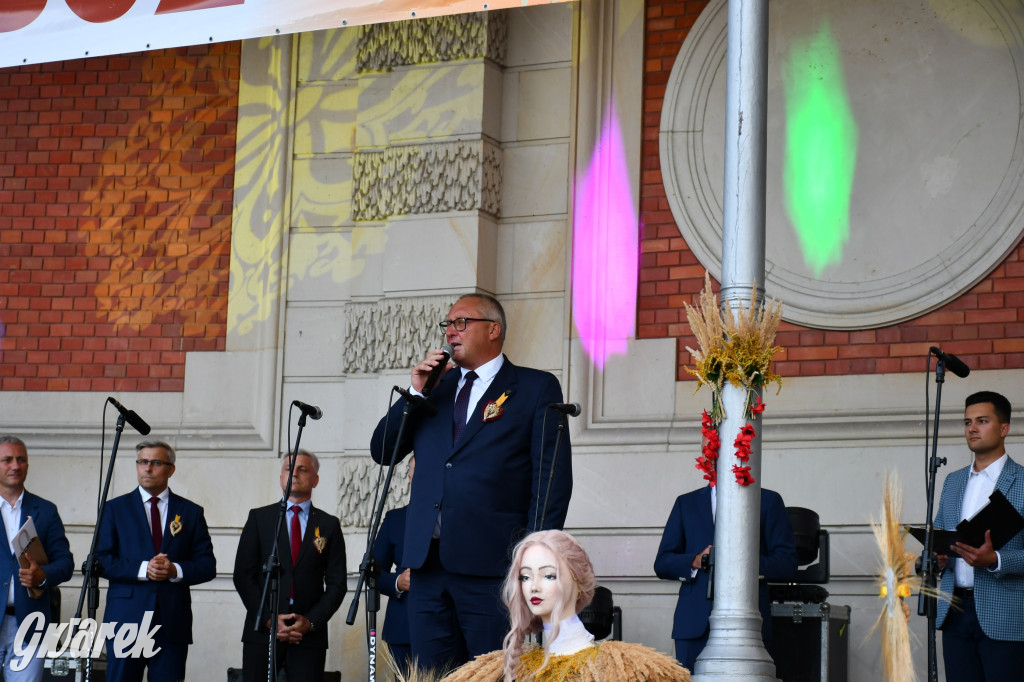 Świerklaniec. Dożynki w parku, pyszności przed pałacem