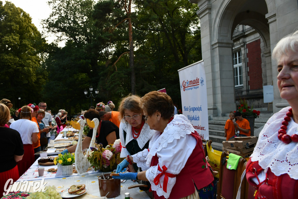 Świerklaniec. Dożynki w parku, pyszności przed pałacem