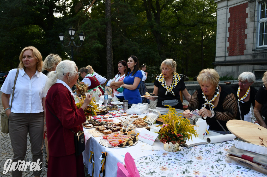 Świerklaniec. Dożynki w parku, pyszności przed pałacem