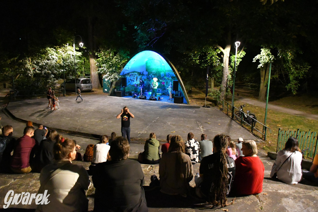 Strzybnica. Człowiek Widmo w parku Hutnika