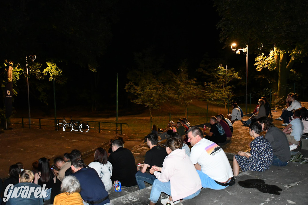 Strzybnica. Człowiek Widmo w parku Hutnika