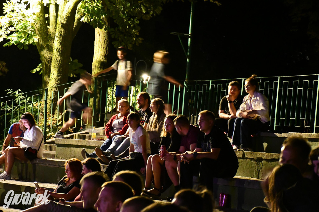 Strzybnica. Człowiek Widmo w parku Hutnika