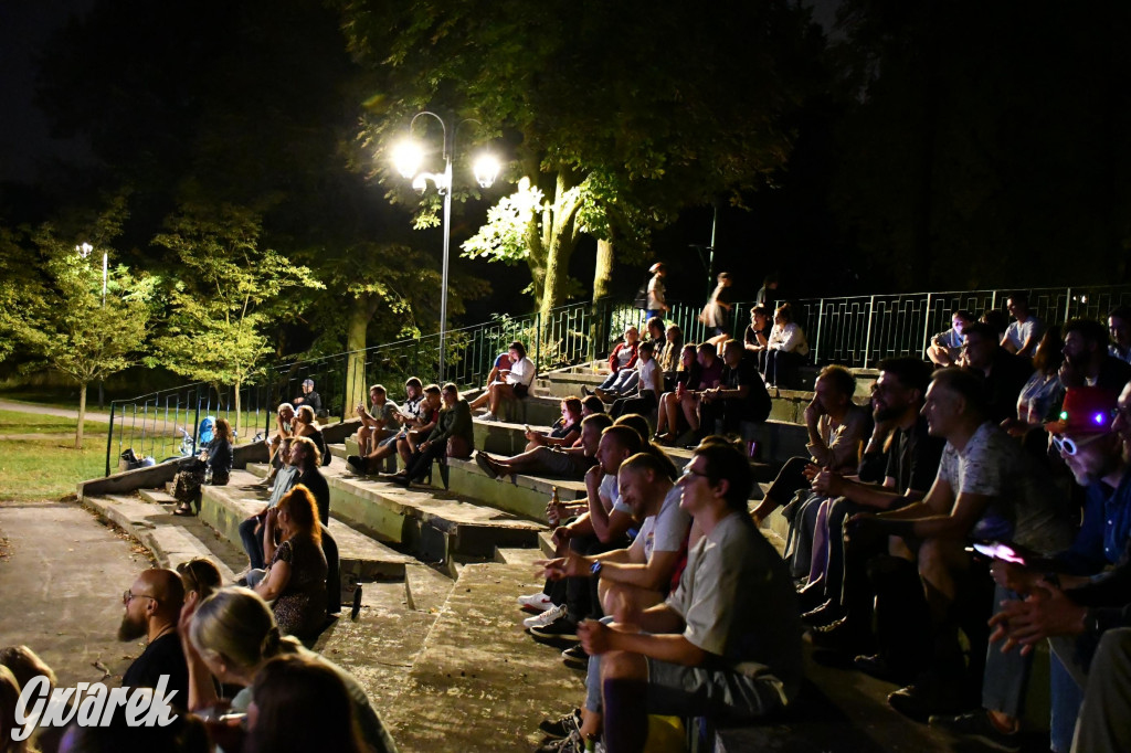 Strzybnica. Człowiek Widmo w parku Hutnika