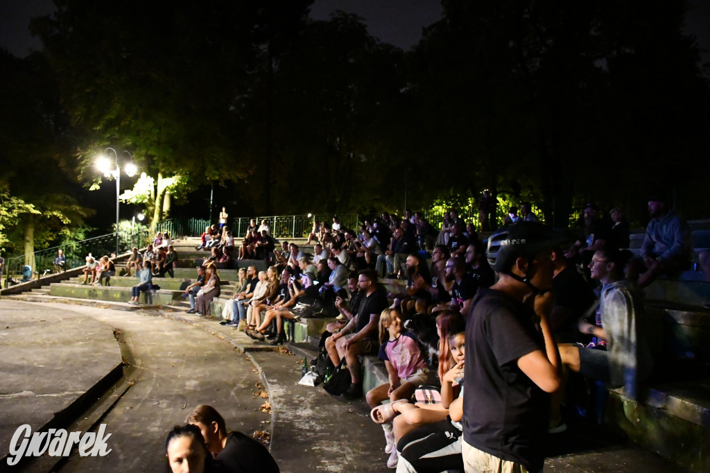 Strzybnica. Człowiek Widmo w parku Hutnika