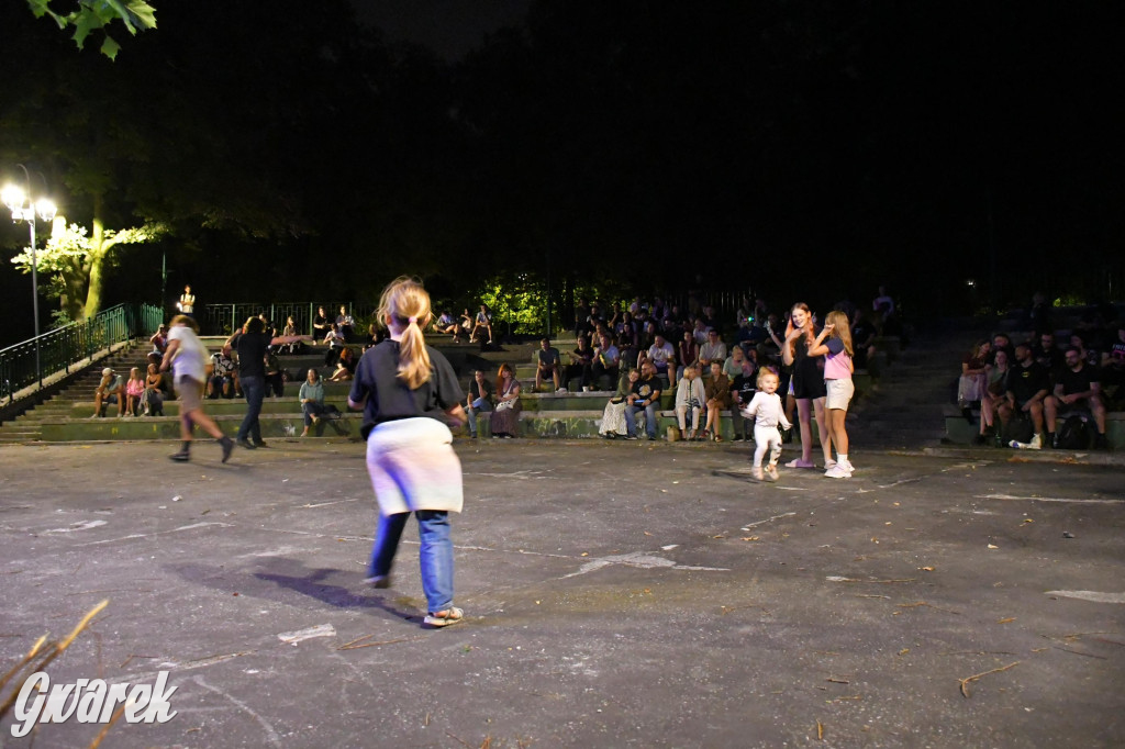 Strzybnica. Człowiek Widmo w parku Hutnika