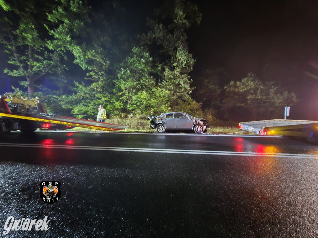  Nissan dachował na DK 11. Kto prowadził?