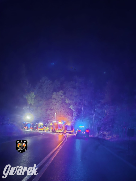  Nissan dachował na DK 11. Kto prowadził?