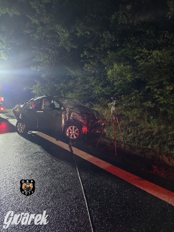  Nissan dachował na DK 11. Kto prowadził?