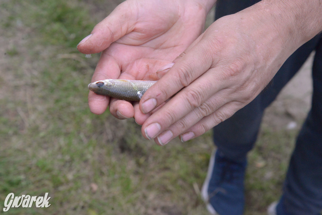 W Kaletach świętowano Święto Ryby