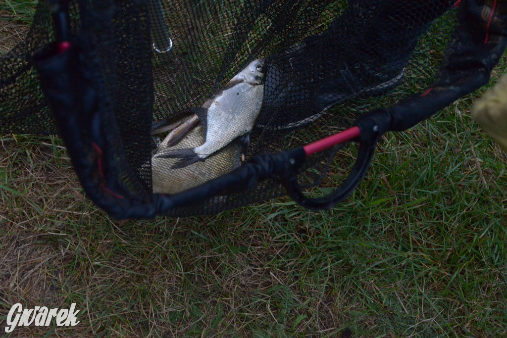 W Kaletach świętowano Święto Ryby