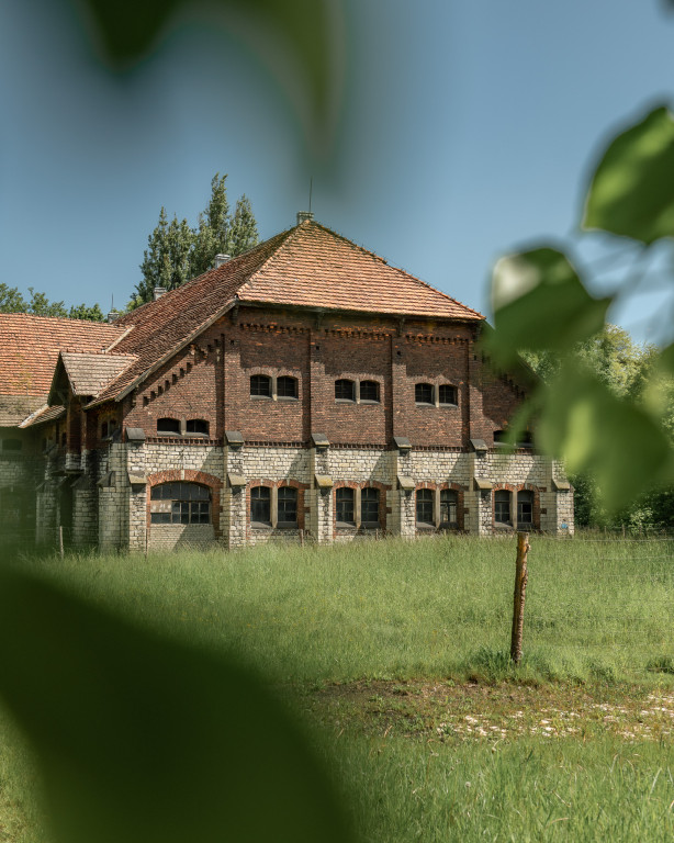 Świerklaniec Donnersmarcków w obiektywie Instytutu...