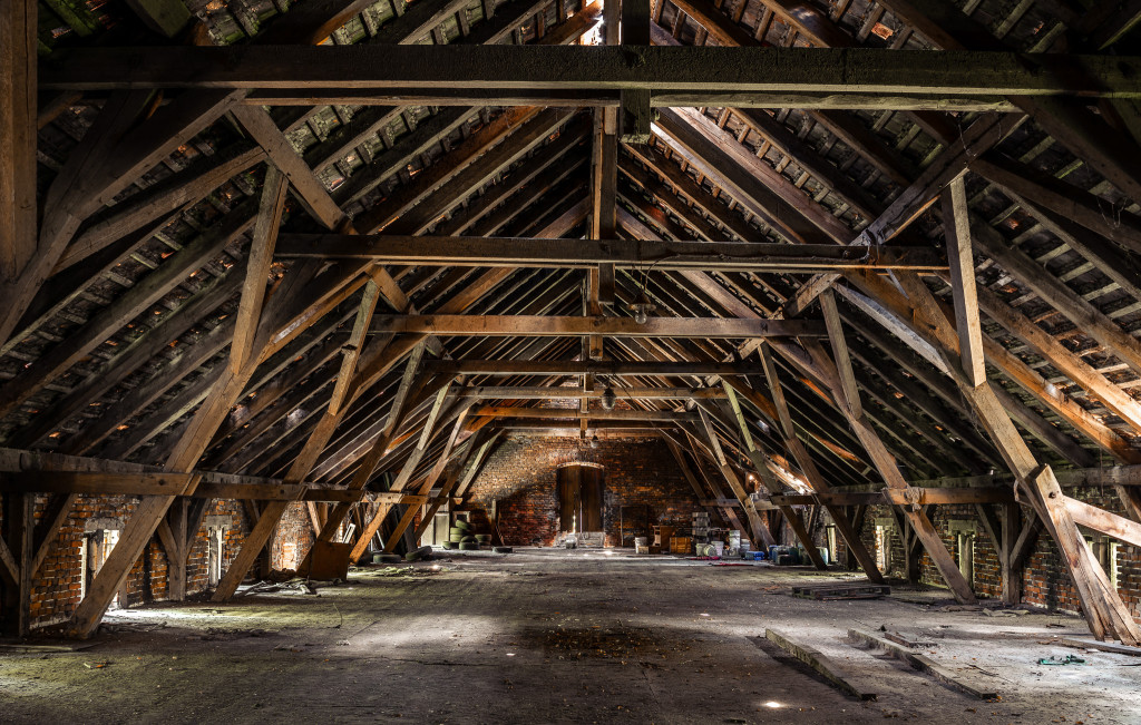 Świerklaniec Donnersmarcków w obiektywie Instytutu...