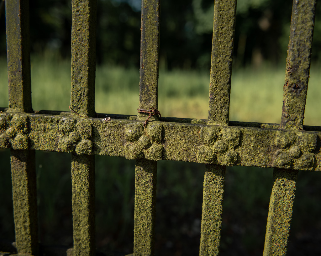 Świerklaniec Donnersmarcków w obiektywie Instytutu...