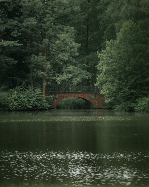 Świerklaniec Donnersmarcków w obiektywie Instytutu...