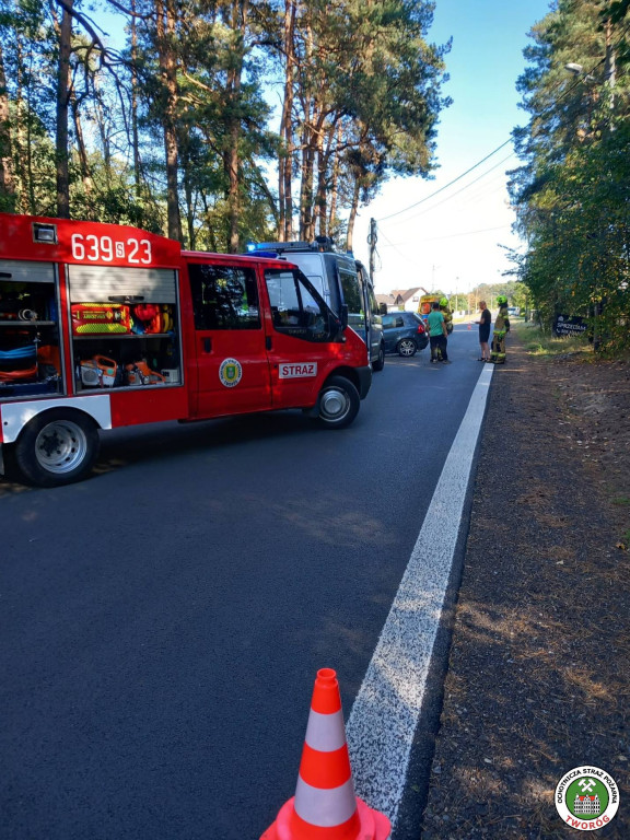 Straciła panowanie nad pojazdem, wjechała w drzewo