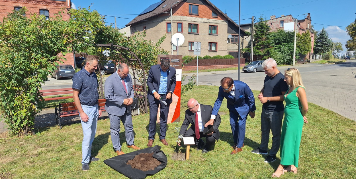 Radzionków. Stop gwałtom i Dąb Pokoju