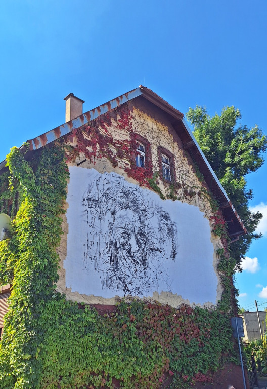 Radzionków. Stop gwałtom i Dąb Pokoju