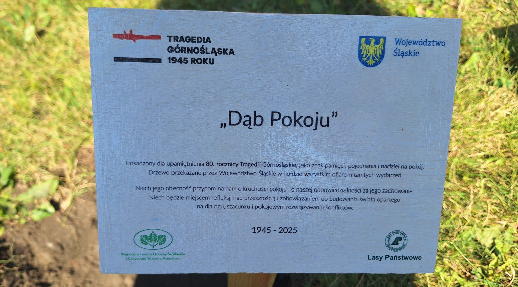 Radzionków. Stop gwałtom i Dąb Pokoju