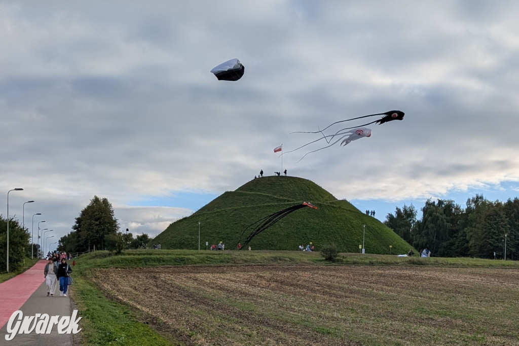 Piekary Śląskie. Piknik pod Kopcem Wyzwolenia