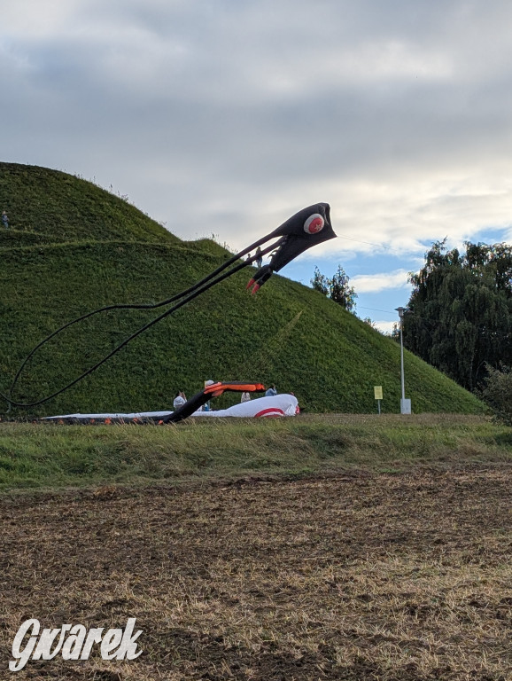 Piekary Śląskie. Piknik pod Kopcem Wyzwolenia