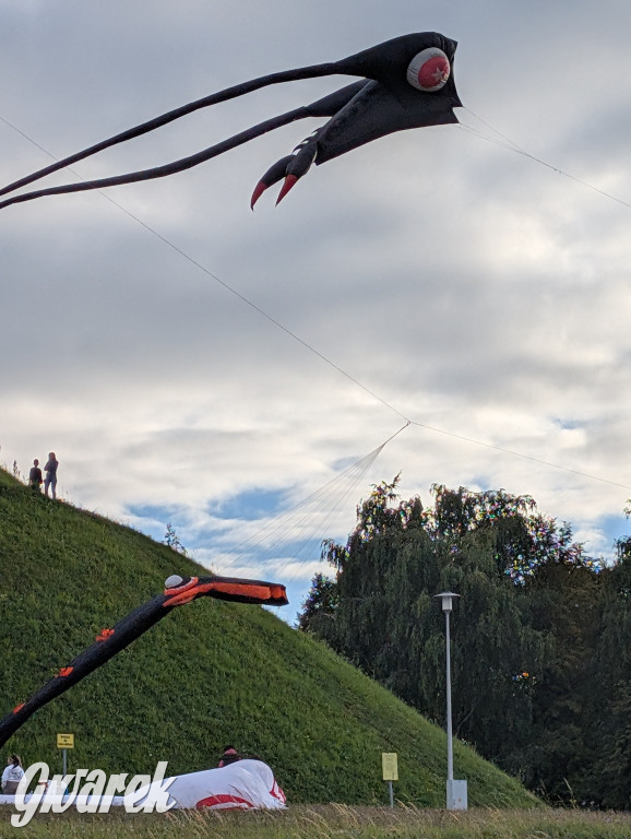 Piekary Śląskie. Piknik pod Kopcem Wyzwolenia