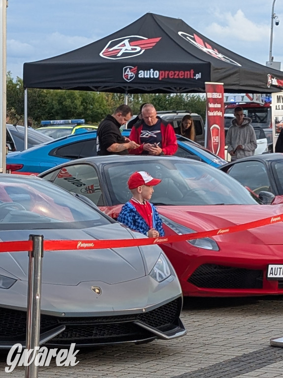 Piekary Śląskie. Piknik pod Kopcem Wyzwolenia