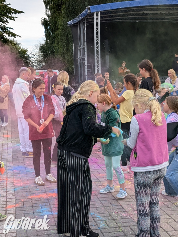 Piekary Śląskie. Piknik pod Kopcem Wyzwolenia