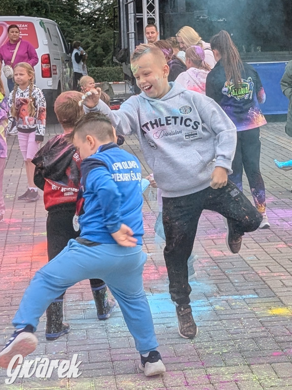 Piekary Śląskie. Piknik pod Kopcem Wyzwolenia