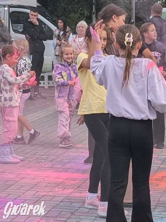 Piekary Śląskie. Piknik pod Kopcem Wyzwolenia