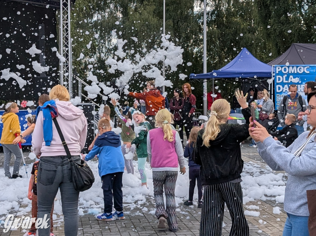 Piekary Śląskie. Piknik pod Kopcem Wyzwolenia