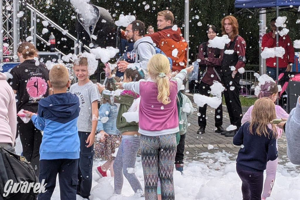 Piekary Śląskie. Piknik pod Kopcem Wyzwolenia