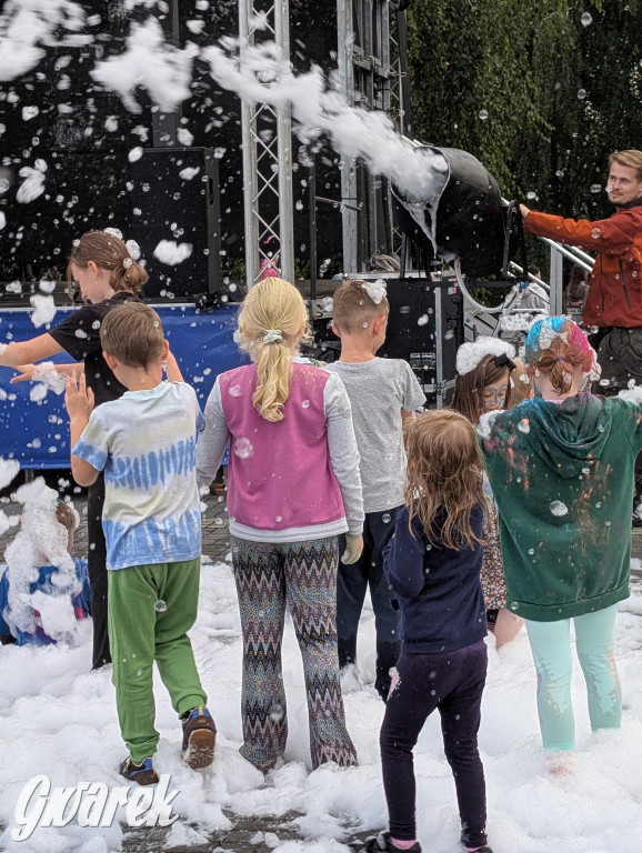 Piekary Śląskie. Piknik pod Kopcem Wyzwolenia