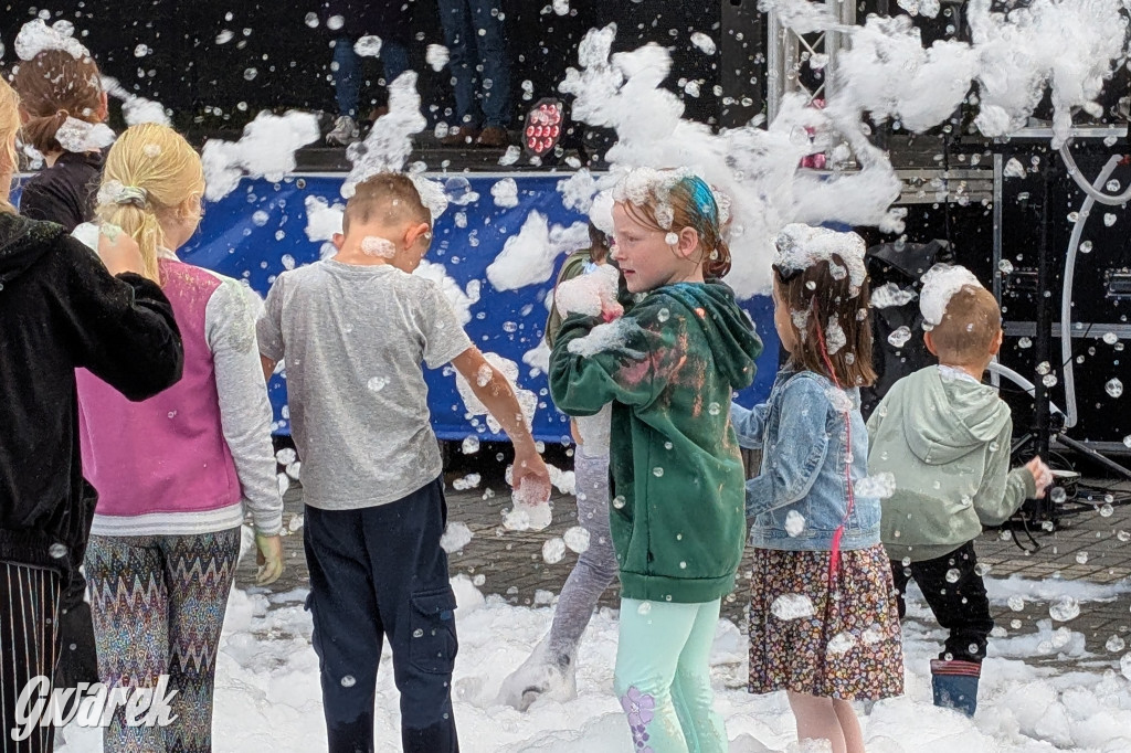 Piekary Śląskie. Piknik pod Kopcem Wyzwolenia