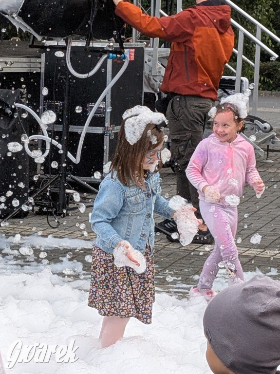 Piekary Śląskie. Piknik pod Kopcem Wyzwolenia