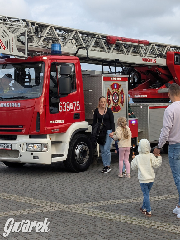 Piekary Śląskie. Piknik pod Kopcem Wyzwolenia