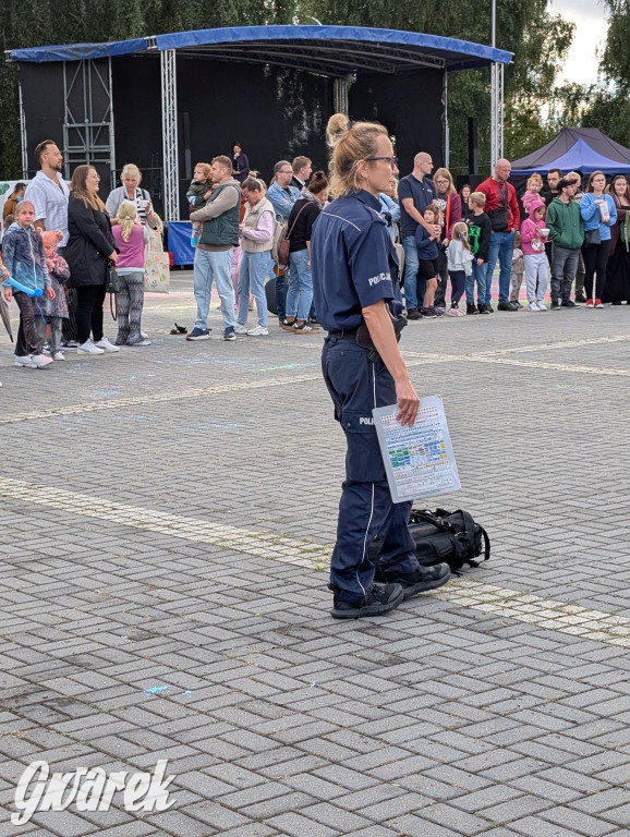 Piekary Śląskie. Piknik pod Kopcem Wyzwolenia